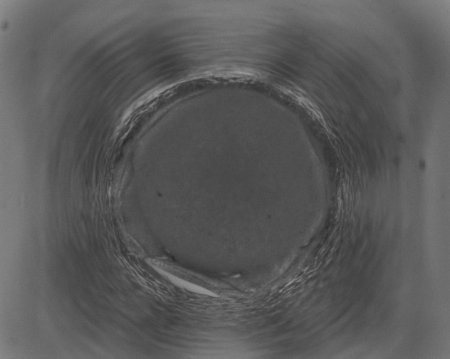 X0000082710920200702091744