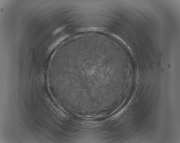 X0000082710921200702091744