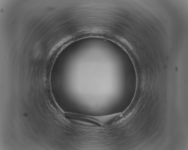 X0000082710922200702091744