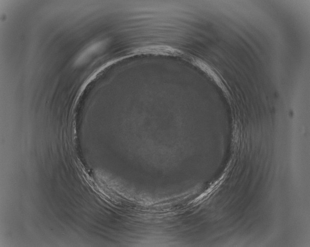 X0000082710923200702091744