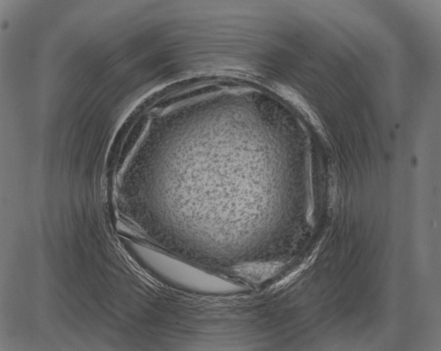 X0000082710924200702091744