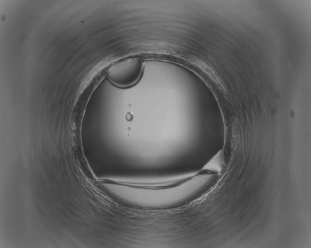 X0000082710926200702091744