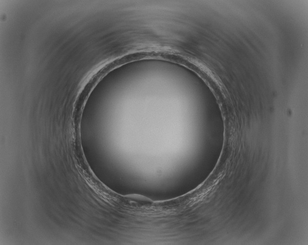 X0000082710927200702091744