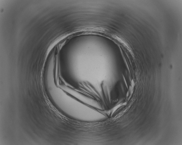 X0000082710928200702091744