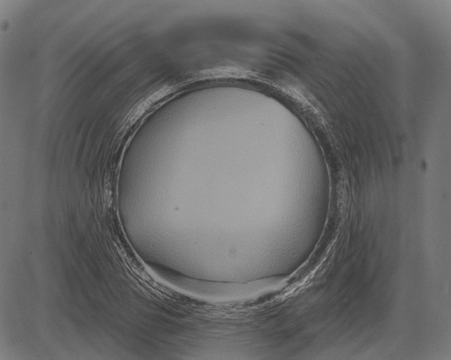 X0000082710929200702091744