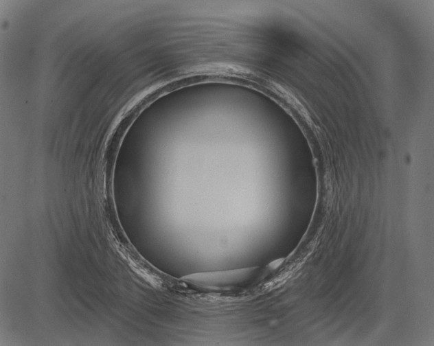 X0000082710931200702091744