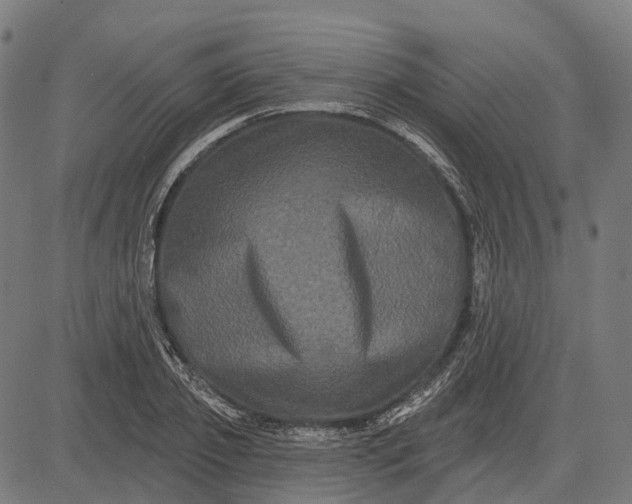 X0000082710933200702091744