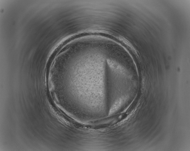 X0000082710934200702091744