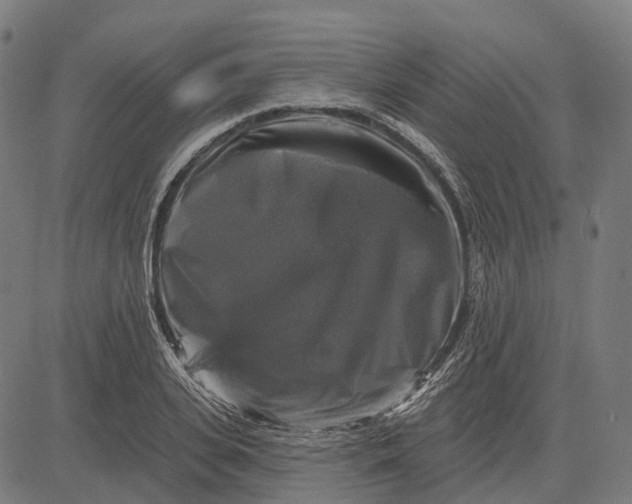 X0000082710935200702091744