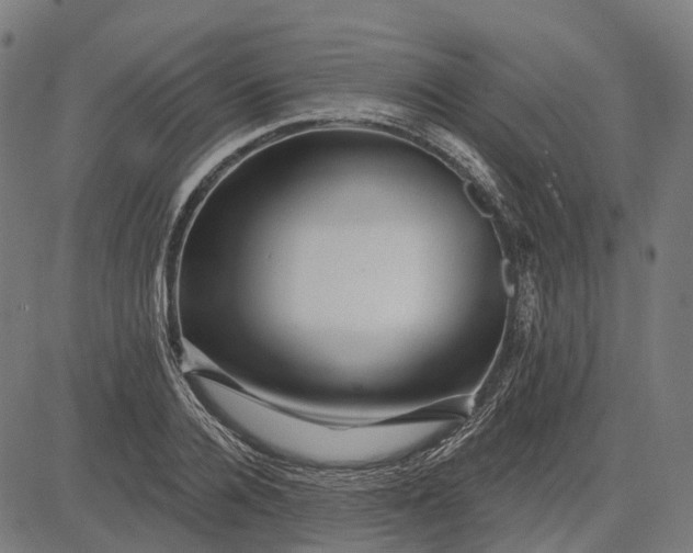 X0000082710936200702091744