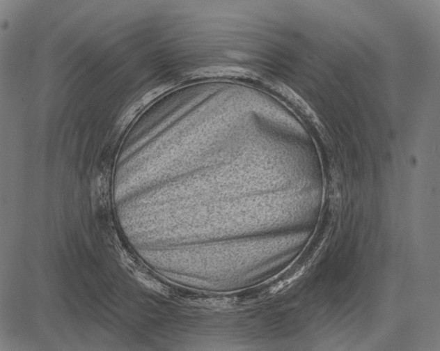 X0000082710937200702091744