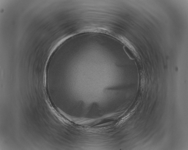 X0000082710940200702091744