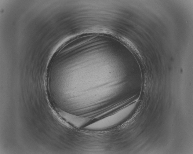 X0000082710942200702091744