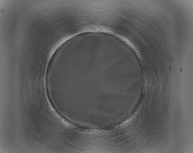 X0000082710943200702091744