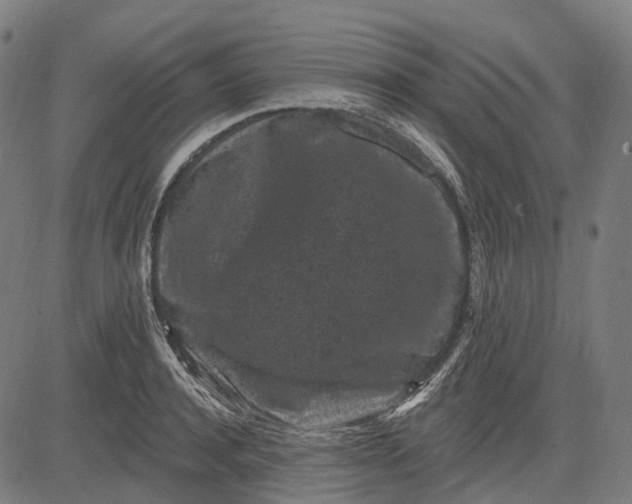 X0000082710944200702091744