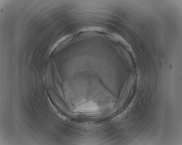 X0000082710945200702091744