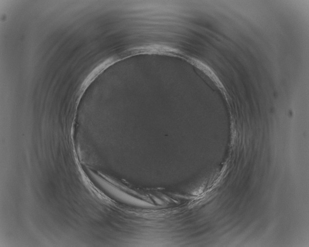 X0000082710946200702091744