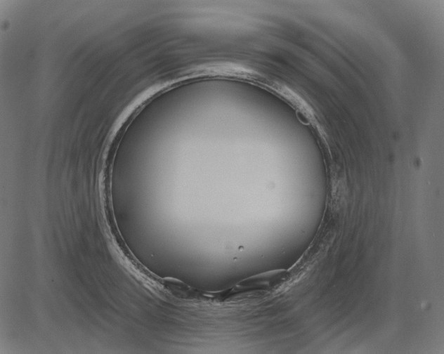 X0000082710947200702091744