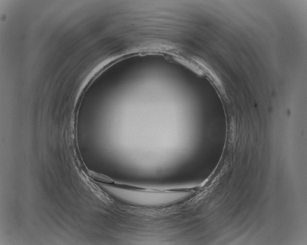 X0000082710948200702091744