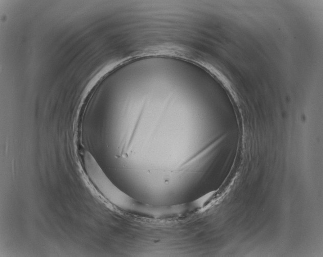 X0000082710949200702091744