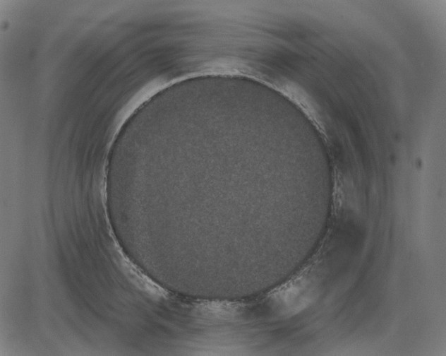 X0000082710950200702091744