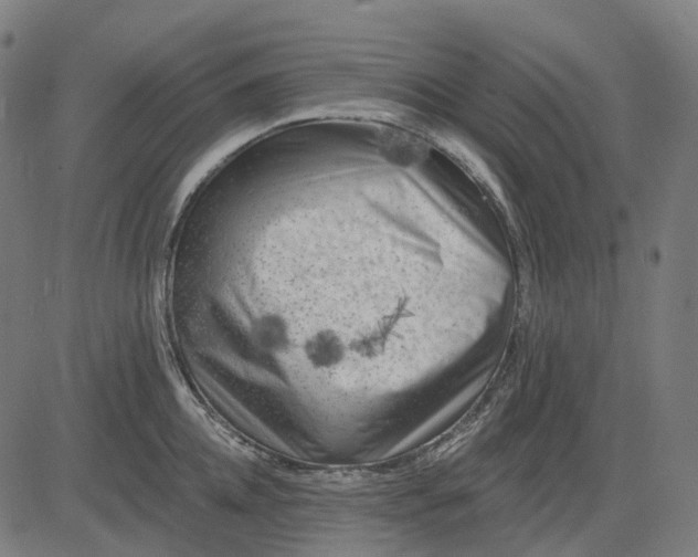 X0000082710952200702091744