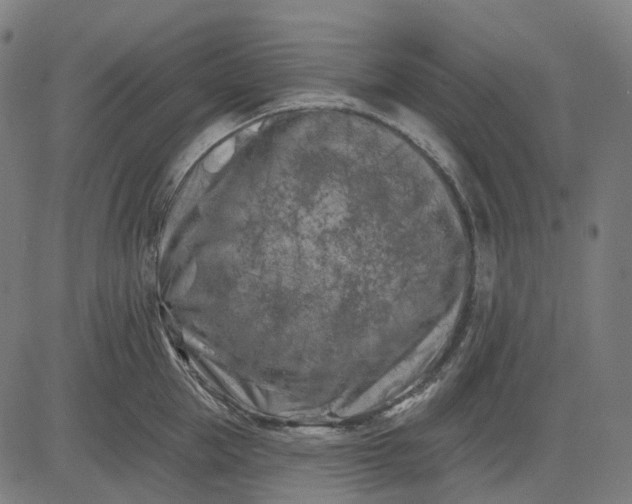 X0000082710953200702091744