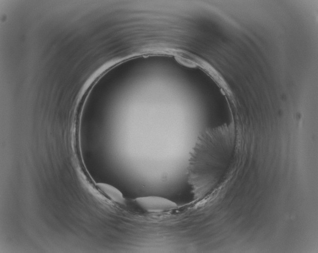 X0000082710955200702091744