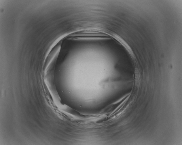 X0000082710956200702091744