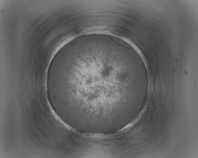 X0000082710957200702091744