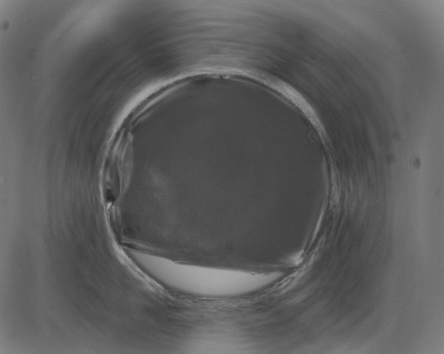 X0000082710958200702091744