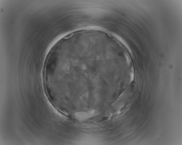 X0000082710959200702091744