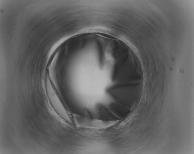 X0000082710960200702091744