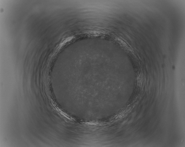 X0000082710961200702091743