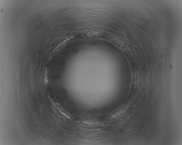 X0000082710962200702091743