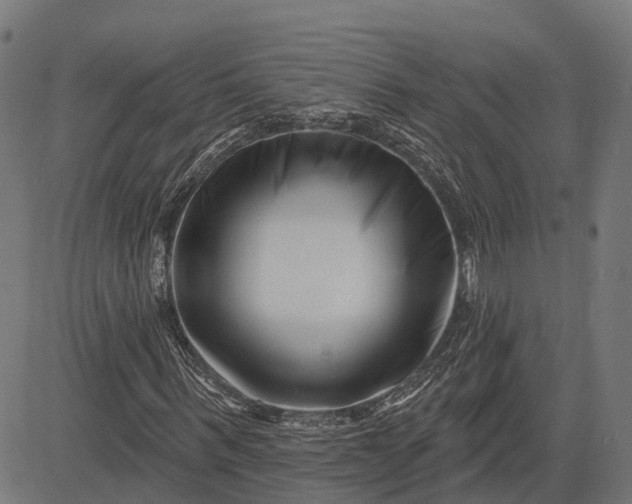 X0000082710963200702091743