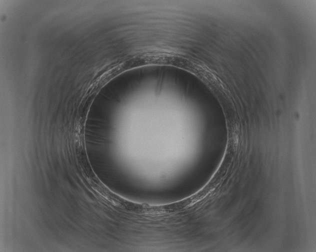 X0000082710964200702091743