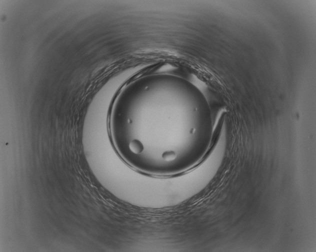 X0000082710965200702091743