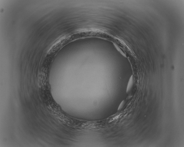 X0000082710967200702091743