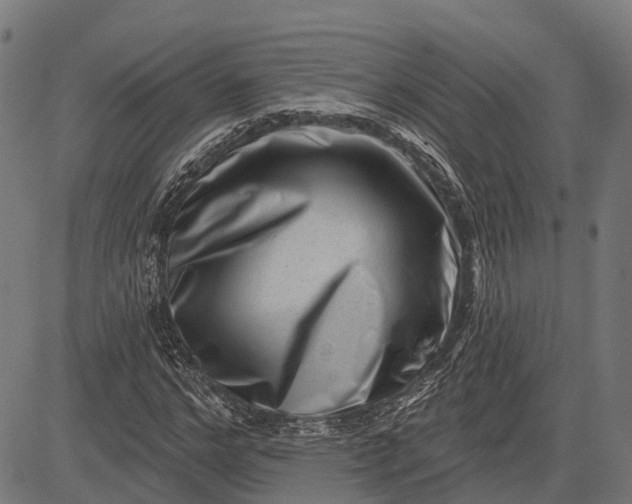 X0000082710968200702091743