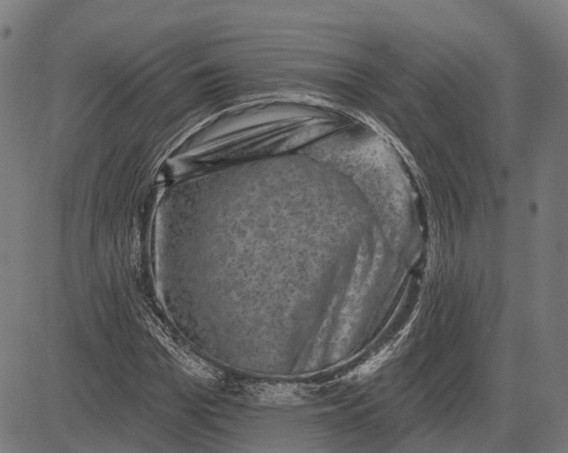 X0000082710969200702091743