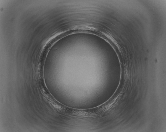 X0000082710971200702091743