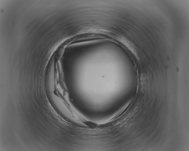 X0000082710972200702091743