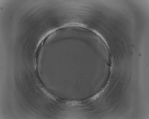 X0000082710973200702091743