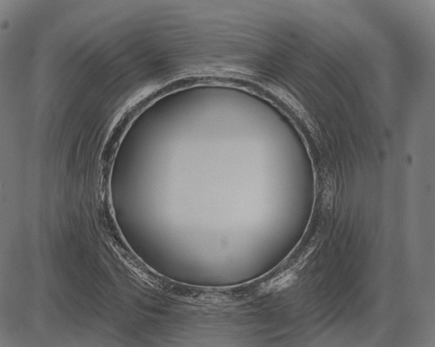 X0000082710974200702091743