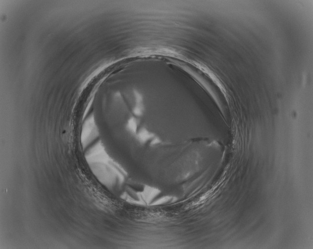 X0000082710975200702091743