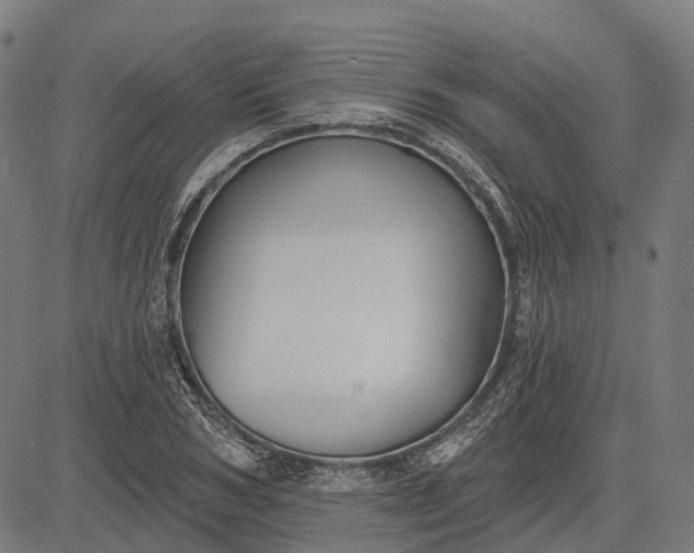 X0000082710978200702091743