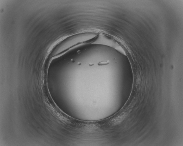 X0000082710979200702091743