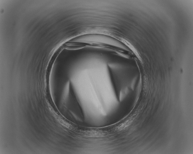 X0000082710980200702091743