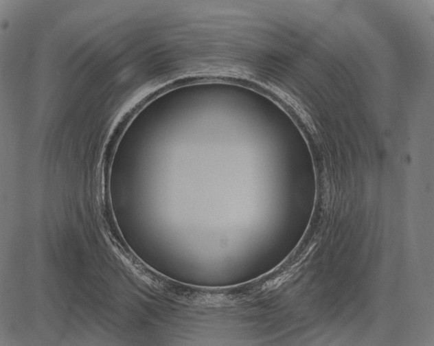 X0000082710982200702091743